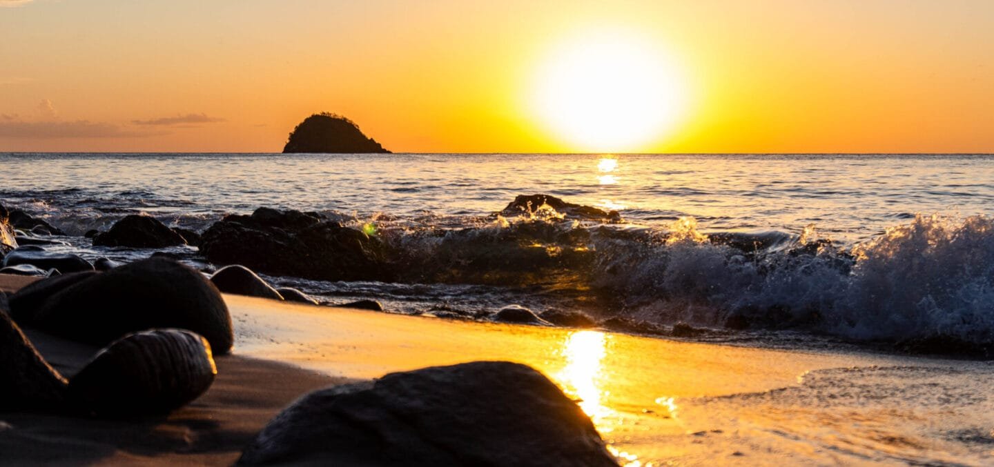 Illustration des galeries